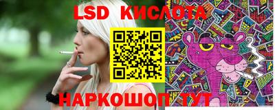 стафф Аргун