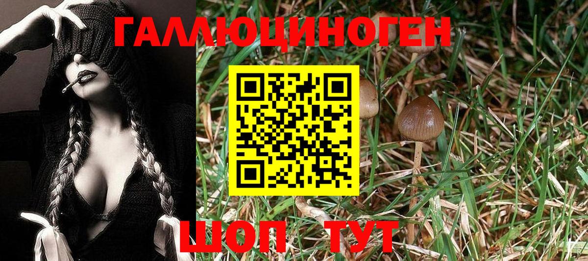 Галлюциногенные грибы GOLDEN TEACHER Воткинск