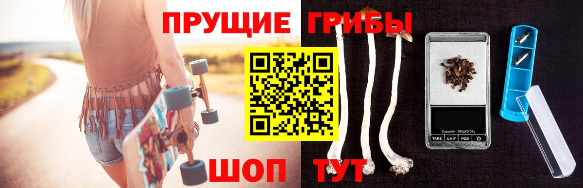 Воткинск  Псилоцибиновые грибы Psilocybine cubensis  Псилоцибиновые грибы Cubensis  Вход с VPN 